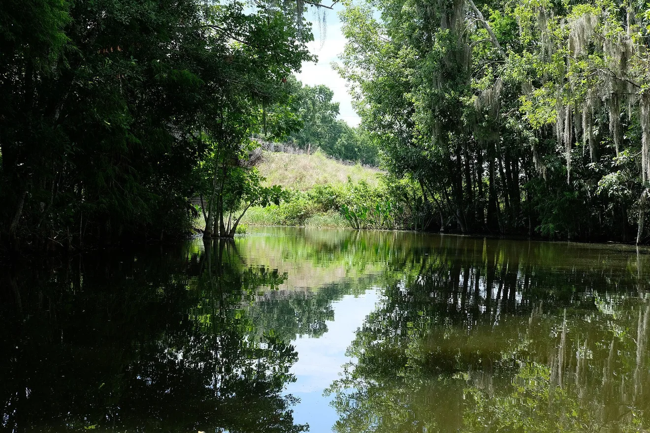 A channel off Lake Harris near Leesburg, Florida (Photo: Tobyw87 / Wikimedia Commons, CC BY 4.0)