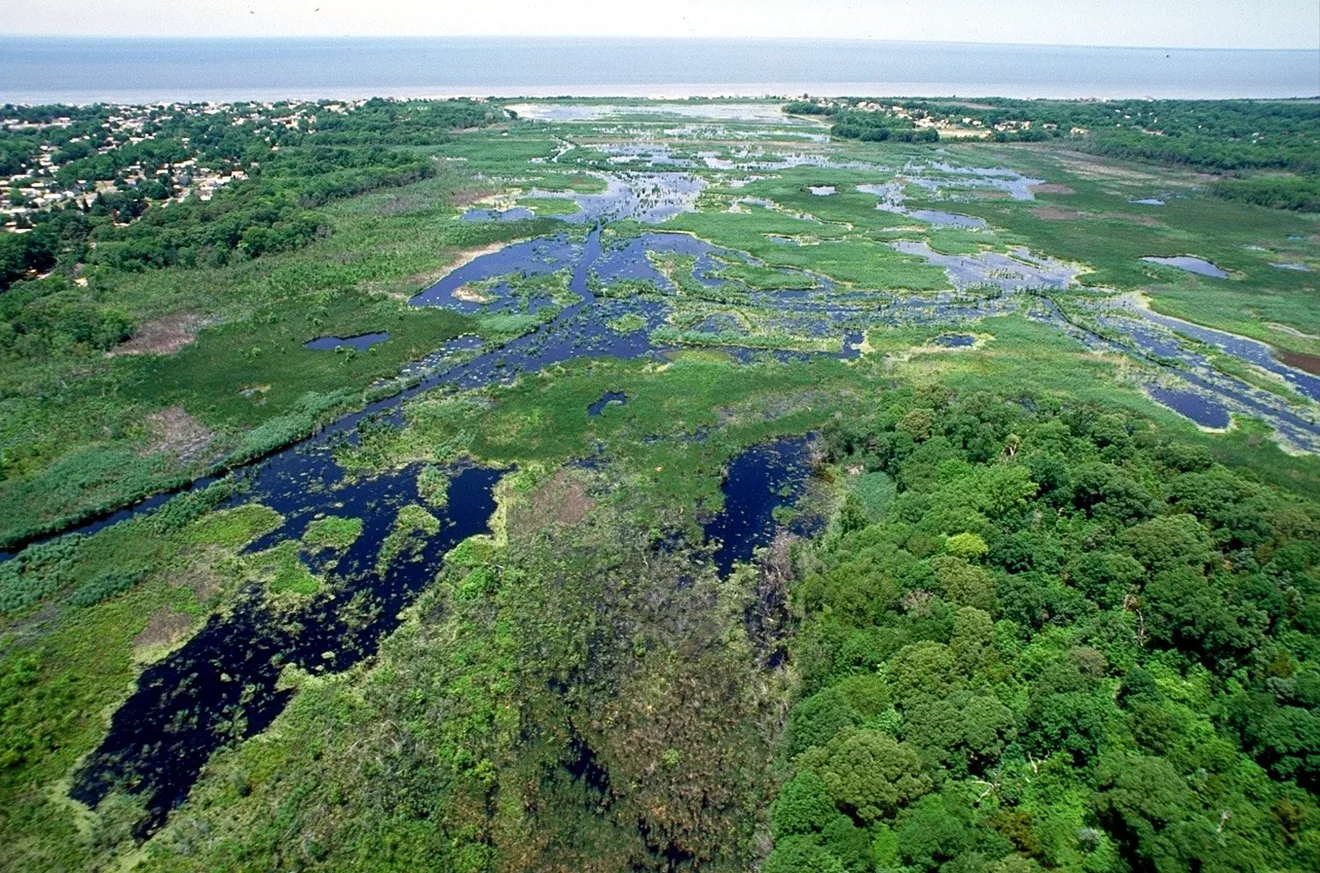 Fishing Creek Marsh wetlands in Cape May County, N.J. (Photo: Anthony Bley, U.S. Army Corps of Engineers, public domain)
